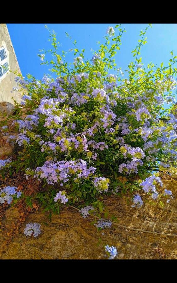 Corfu  City Walls Sea View מראה חיצוני תמונה